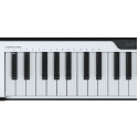 Arturia MicroLab Black Midi klaviatūra