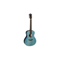 X11LS/F-SBB acoustic guitar