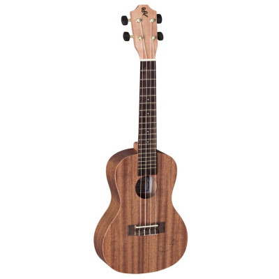 Baton Rouge UR11-C paper plane Ukulele