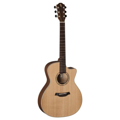 AR81C/ACE Acoustic Guitar