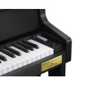 Casio Celviano GP-310 BK