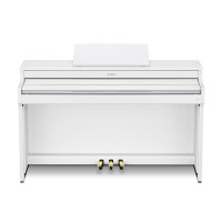 Casio AP-S300WE