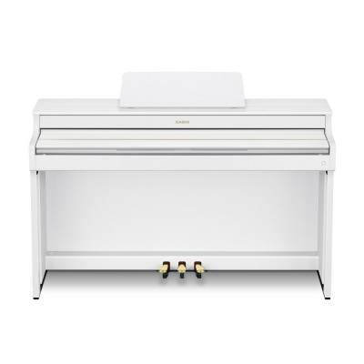 Casio AP-S300WE