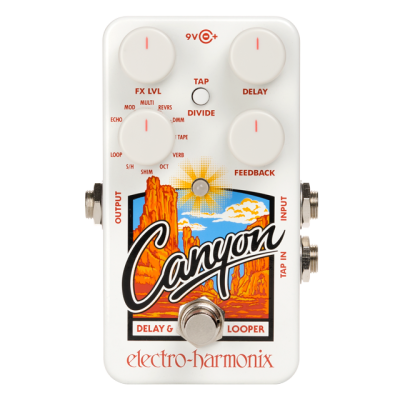 Electro Harmonix Canyon Delay & Looper Effect pedal