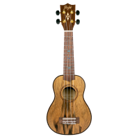 Flight DUS430 Ukulele