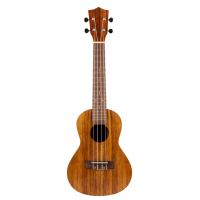 Flight NUC200 Ukulele