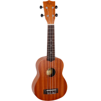 Flight NUS310 Ukulele