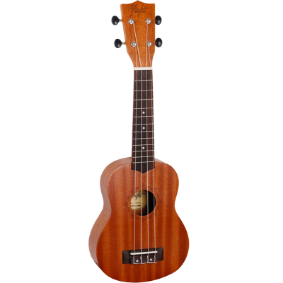 Flight NUS310 Ukulele