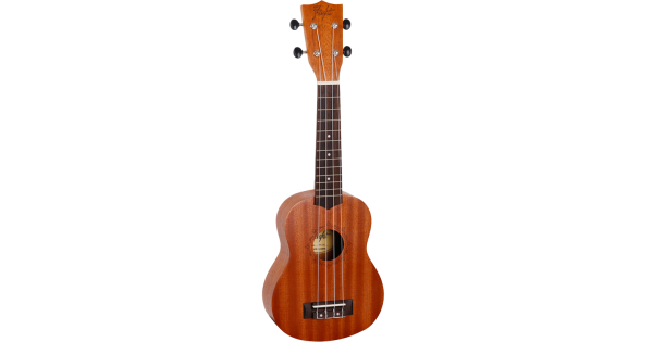 Ukulele cheap flight nus310