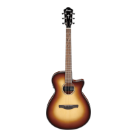 Ibanez AEG50-DHH Electroacoustic guitar