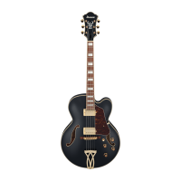 Ibanez AF75G-BKF Electric guitar