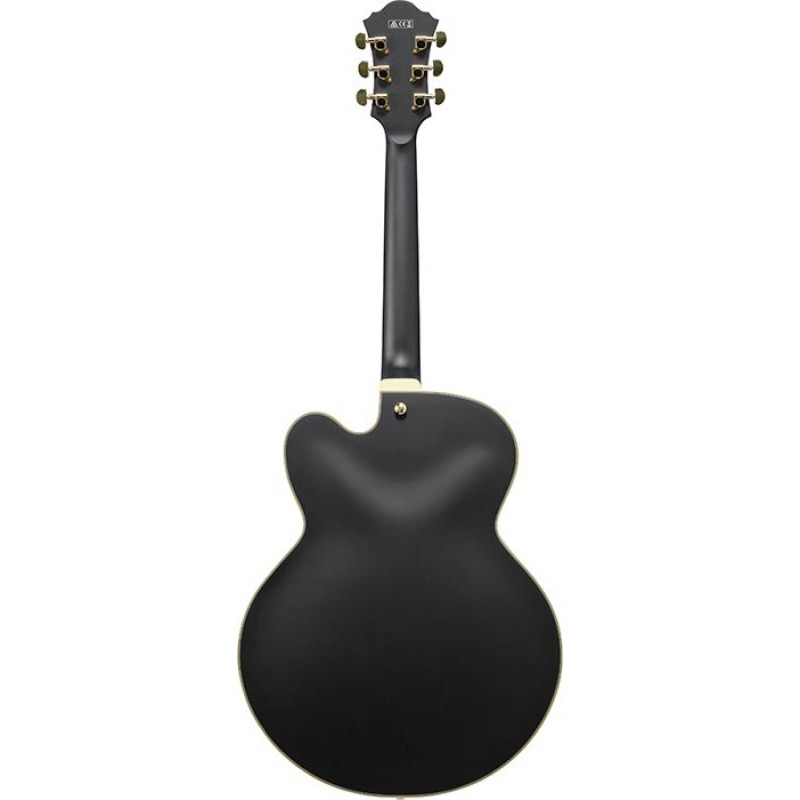 Ibanez AF75G-BKF Электрическая гитара