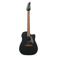 Ibanez ALT20-WK Electroacoustic guitar