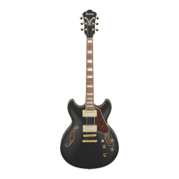 Ibanez AS73G-BKF Electric guitar