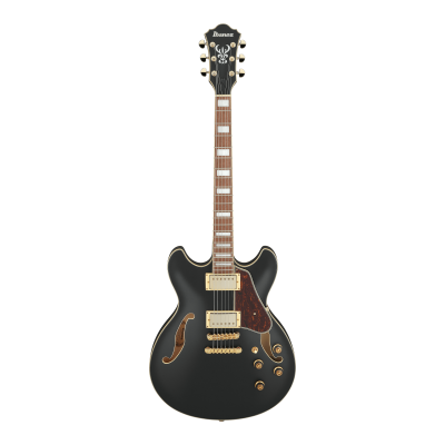 Ibanez AS73G-BKF Электрическая гитара