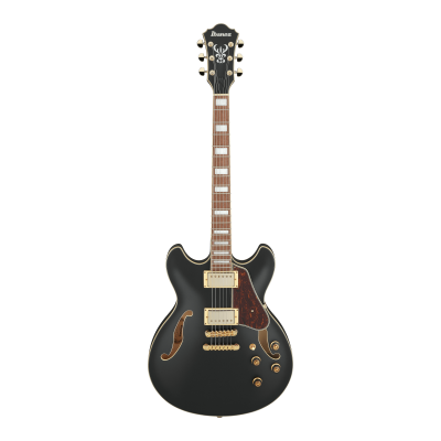 Ibanez AS73G-BKF Elektriskā ģitāra