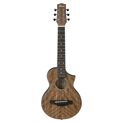 Ibanez EWP14-WB Akustiskā ģitāra
