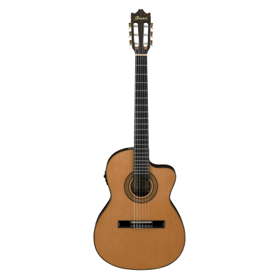 Ibanez GA5TCE AM Klasiskā ģitāra