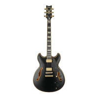 Ibanez JSM20-BKL Elektriskā ģitāra