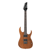 Ibanez RG421-MOL Electric guitar