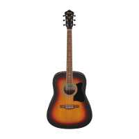 Ibanez V50NJP OVS guitar set