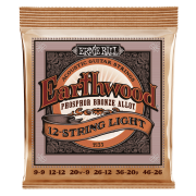 12-String Acoustic Guitar Strings