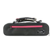 Cases and bags for flute