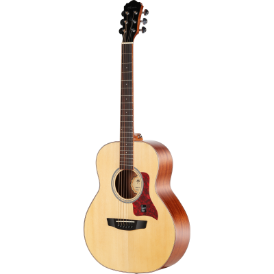 Mantic BG-1 NA Aкустическая гитара