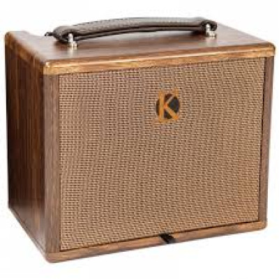 Kinsman KAA25 Acoustic guitar amp