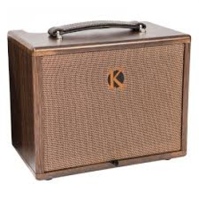 Kinsman KAA45 Acoustic guitar amp