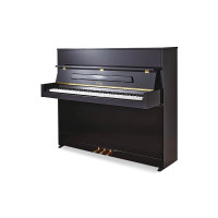 Petrof P118 S-1 Black