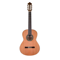 Prodipe Recital 300 Klasiskā ģitāra