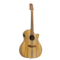 Randon RGI-M4CE Electroacoustic guitar