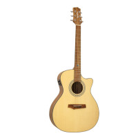 Randon RGI-04CE Electroacoustic guitar