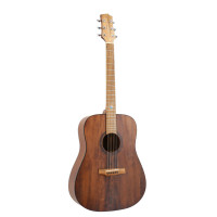 Randon RGI-10VT Acoustic guitar