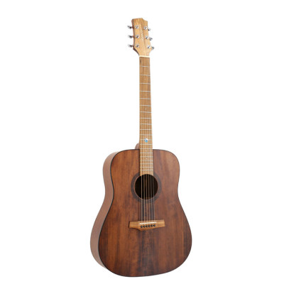 Randon RGI-10VT Acoustic guitar