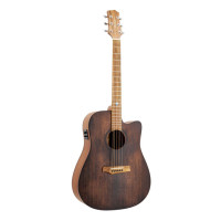 Randon RGI-10VT-CE Electroacoustic guitar