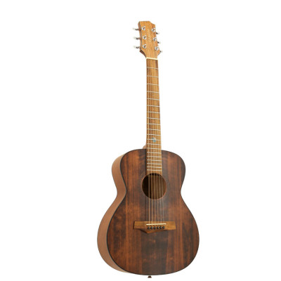 Randon RGI-14Mini-VT Acoustic guitar