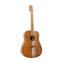 Randon RGI-500 Acoustic guitar
