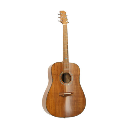 Randon RGI-500 Acoustic guitar