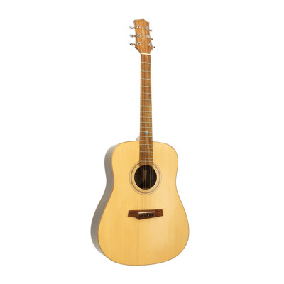 Randon RGI-60 Acoustic guitar