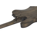 Schecter PT Apocalypse RG Elektriskā ģitāra