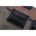 Schecter PT Apocalypse RG Elektriskā ģitāra