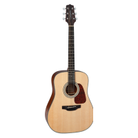 Takamine GD10NS Acoustic guitar