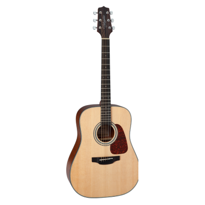 Takamine GD10NS Acoustic guitar