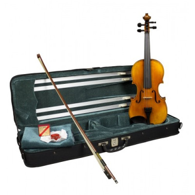 Violine Hidersine Venezia 3/4
