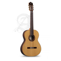 Alhambra Iberia Ziricote Classicial guitar