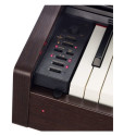 Casio Celviano AP-270 BN
