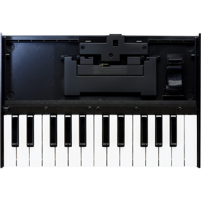 Roland K-25M