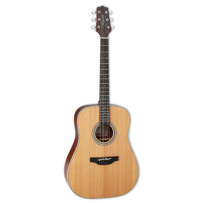 Takamine GD20NS Aкустическая гитара